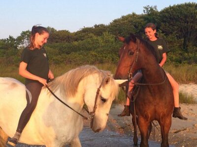 Rita's Stable