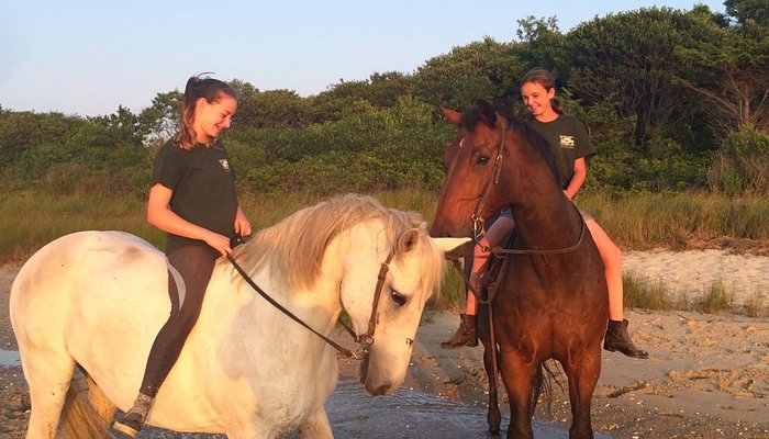 Rita's Stable