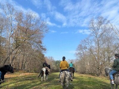 Mustang Meadow