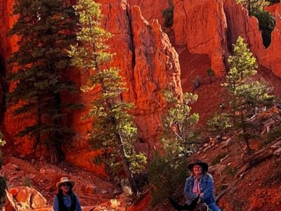 Mecham Outfitters