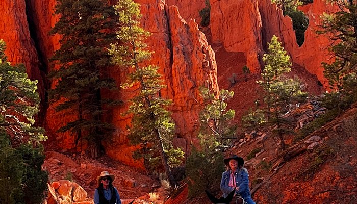 Mecham Outfitters