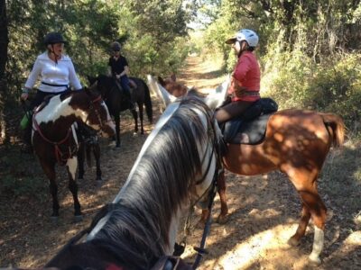 Black Mustang Ranch