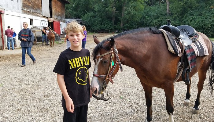 Memory Lane Stables
