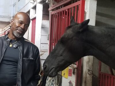 Memory Lane Stables