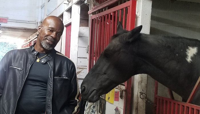 Memory Lane Stables
