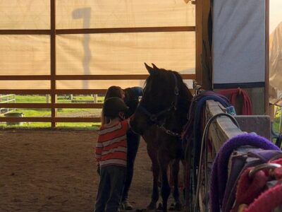 Morris's Shadow Mountain Stables