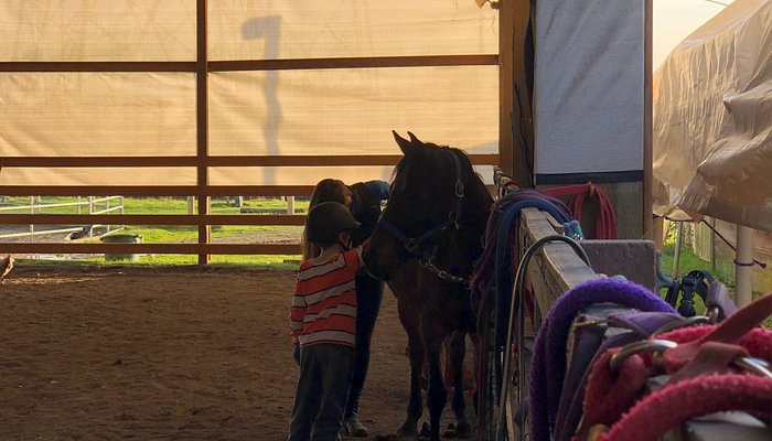 Morris's Shadow Mountain Stables