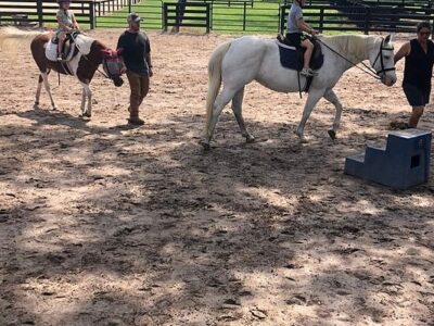Moss Creek Equestrian Center