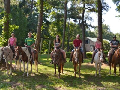 Wampee Stables