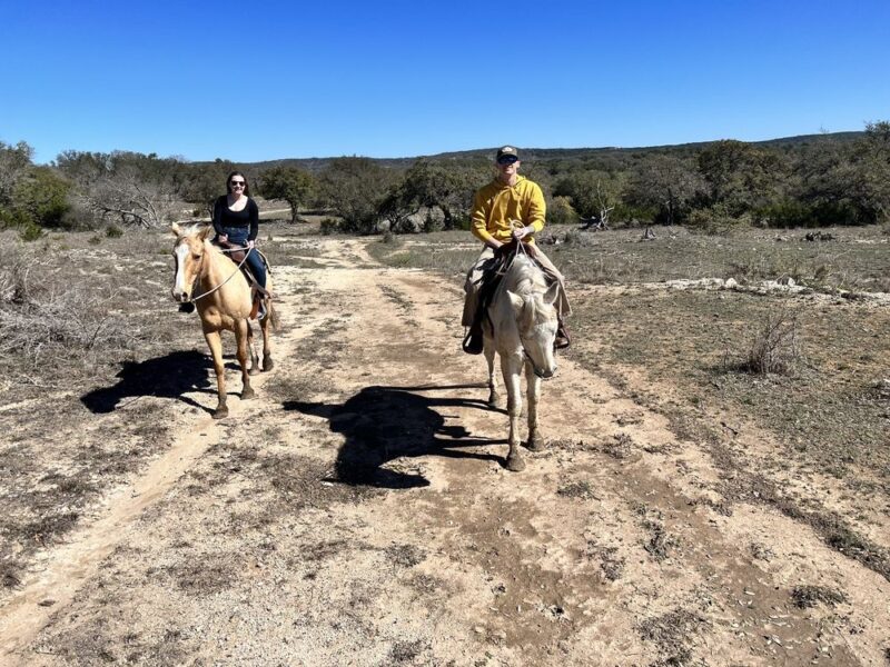 Travis P Trail Rides