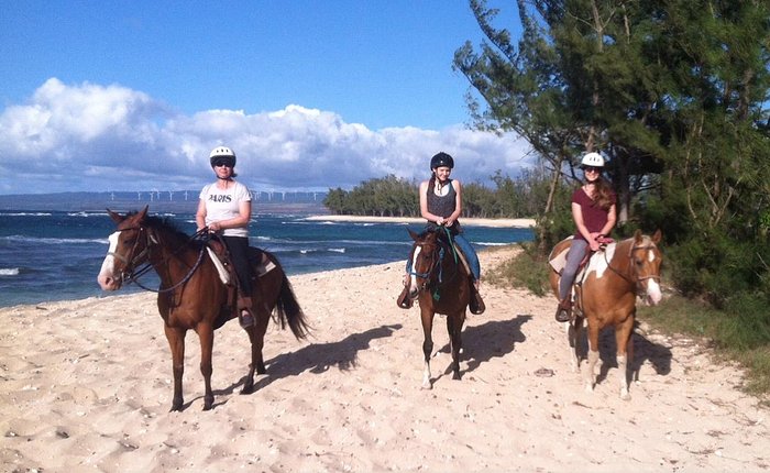 Oahu Horseback Rides