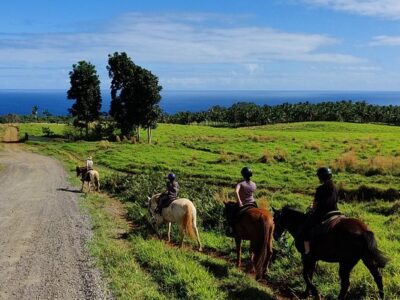 Wailea Horseback Adventure