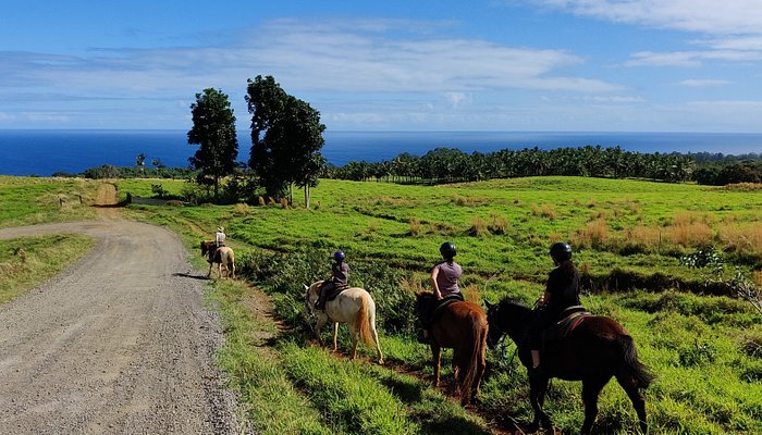 Wailea Horseback Adventure