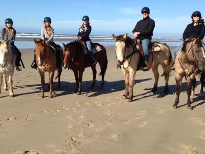 C & M Stables