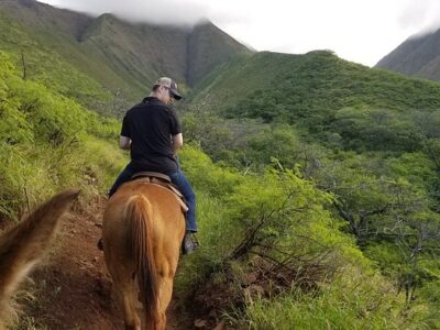 Lahaina Stables