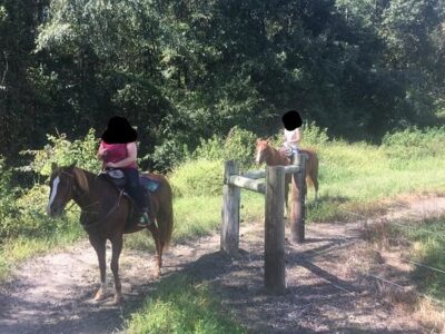 C&C Farm