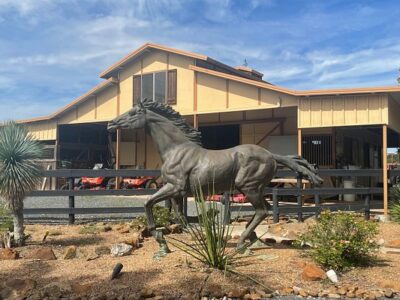 Magnolia Ranch