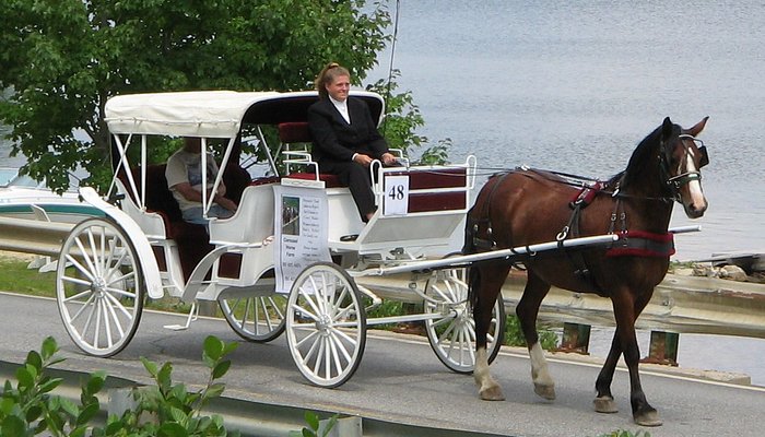 Carousel Horse Farm