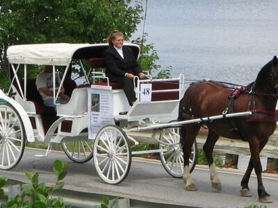 Carousel Horse Farm