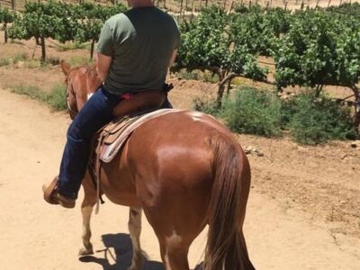 Temecula Wine Country Horseback Riding