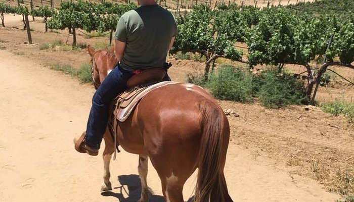 Temecula Wine Country Horseback Riding