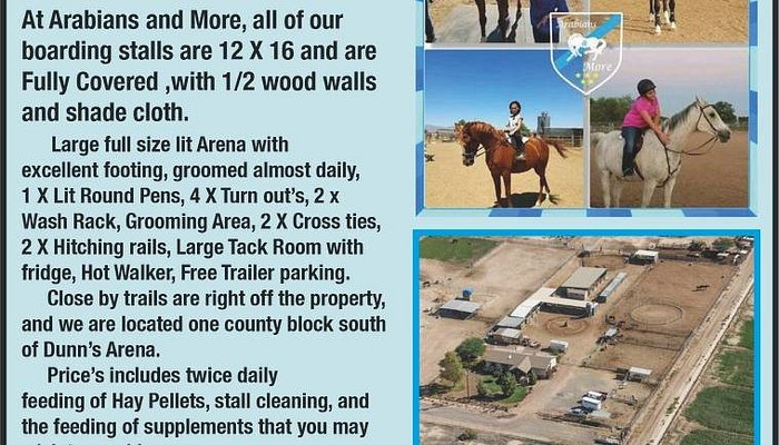 Arabians and More