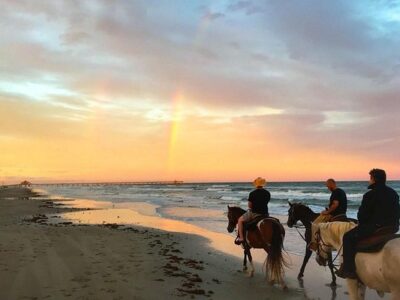Horses On The Beach: Corpus Christi