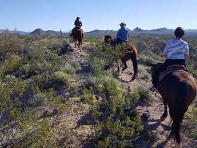 Arizona Horse Company
