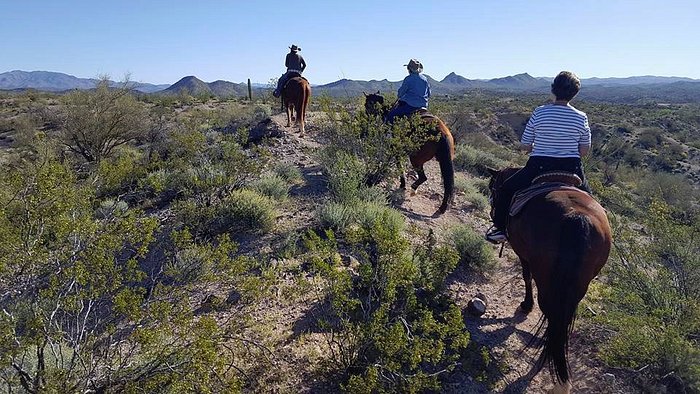 Arizona Horse Company