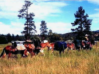 Gila Hot Springs Ranch, New Mexico