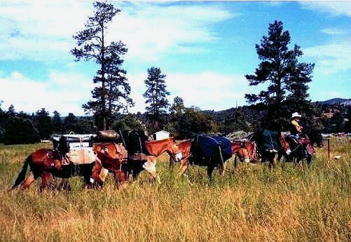 Gila Hot Springs Ranch, New Mexico