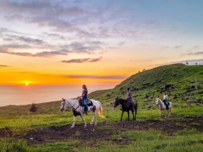 Pālehua Trail Rides: Oahu Horseback Riding Sunshine or Sunset Tour