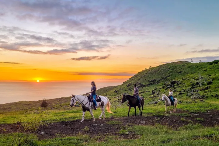 Pālehua Trail Rides: Oahu Horseback Riding Sunshine or Sunset Tour