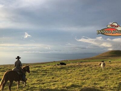 Paniolo Adventures
