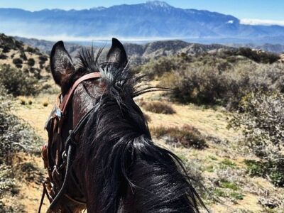 Knob Hill Ranch