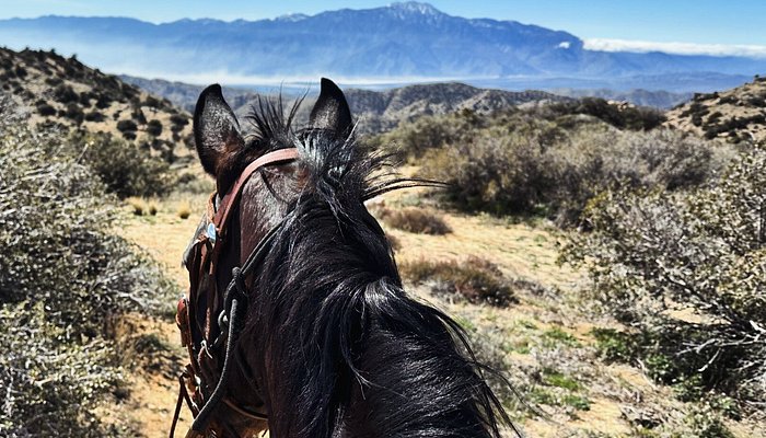 Knob Hill Ranch