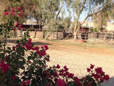 Ivey Ranch Equestrian Center