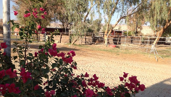 Ivey Ranch Equestrian Center