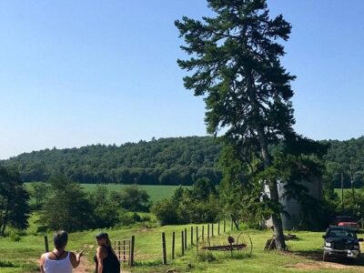 Chattahoochee Stables