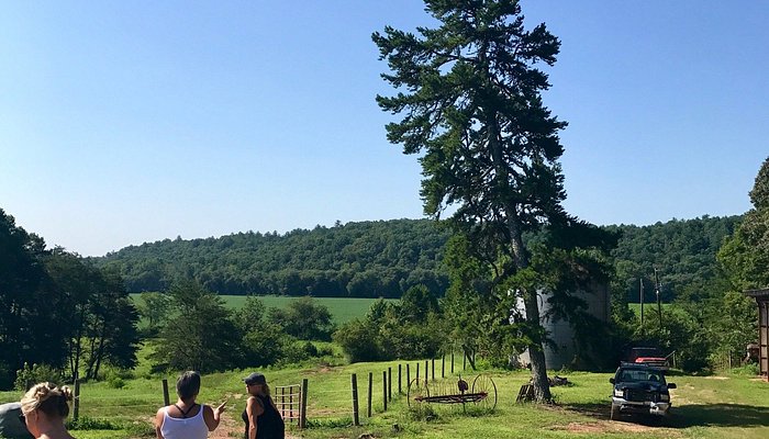 Chattahoochee Stables