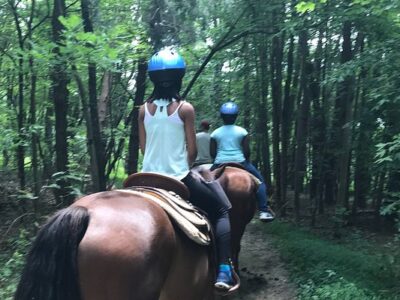 Bregman's Trail Riding and Stables