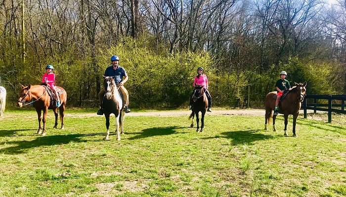 Creekside Riding Academy & Stables