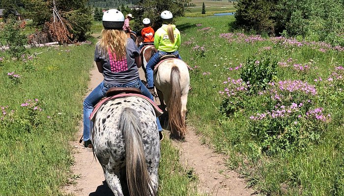 Creekside Trail Rides