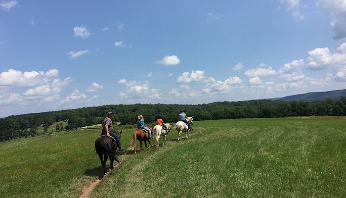 Tioga Trail Rides