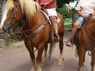 Triple W Riding Stable