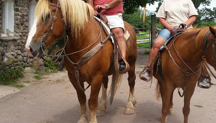 Triple W Riding Stable