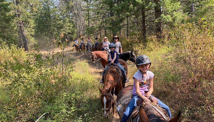 Bridle Path Quarter Horses