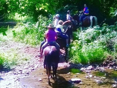 Jordan Hollow Stables