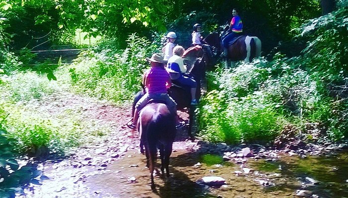 Jordan Hollow Stables