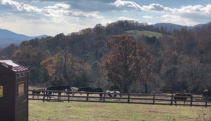 Reba Farm Inn